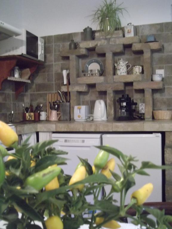Apartmán Tulipanos Vendeghaz Obanya Exteriér fotografie