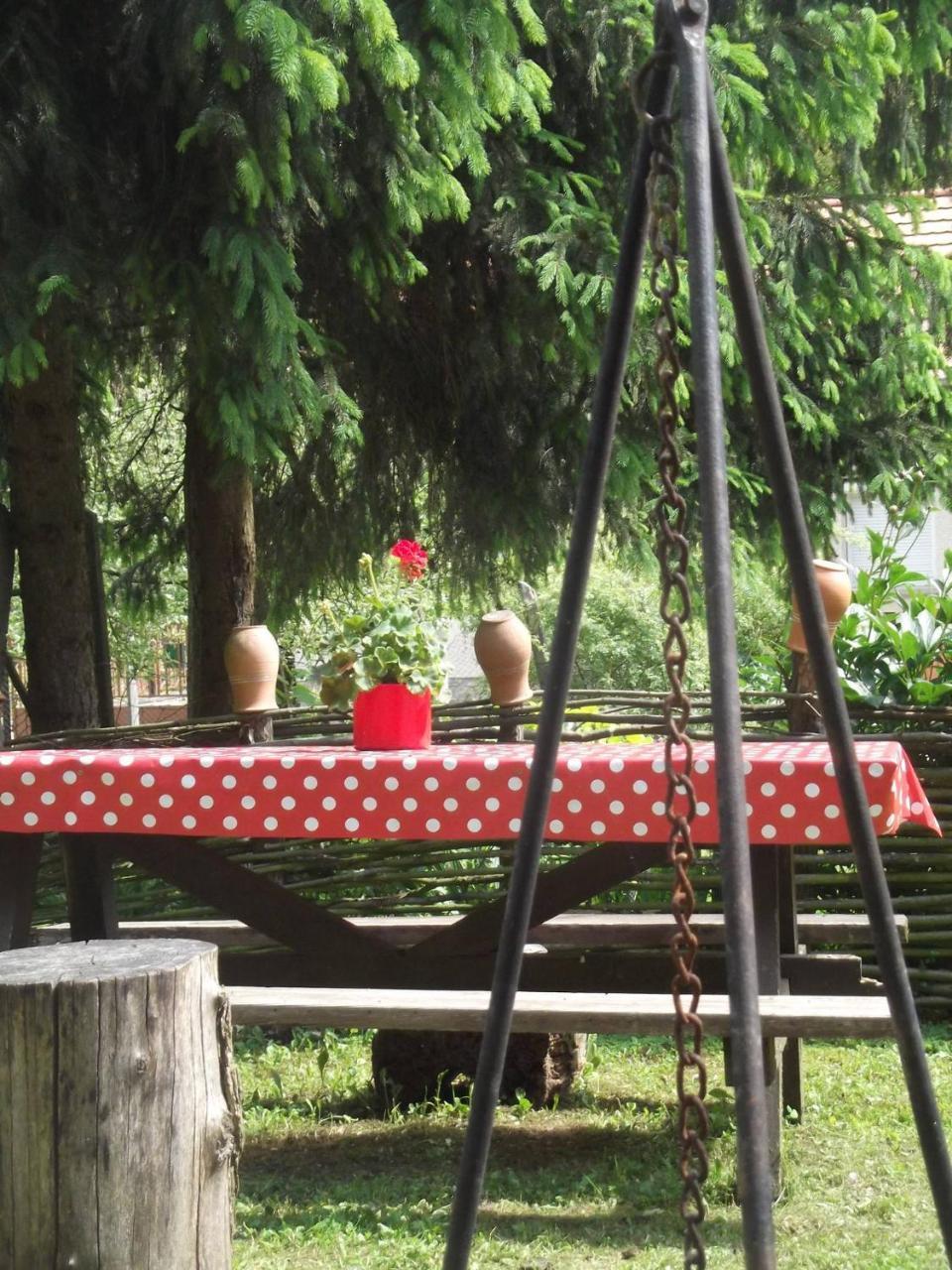 Apartmán Tulipanos Vendeghaz Obanya Exteriér fotografie